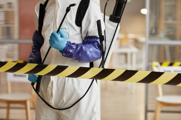 Professional Sewage Cleanup technician working in Lonetree, WY